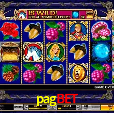 pagbet Rio de Janeiro - Bonus Terms